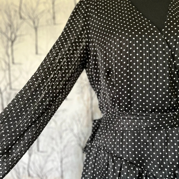 NWOT Francesca Mi Ami V-Neck Polka Dot Long Sleeve Dress Medium - Picture 10 of 11